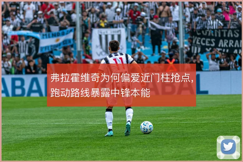 弗拉霍维奇为何偏爱近门柱抢点，跑动路线暴露中锋本能