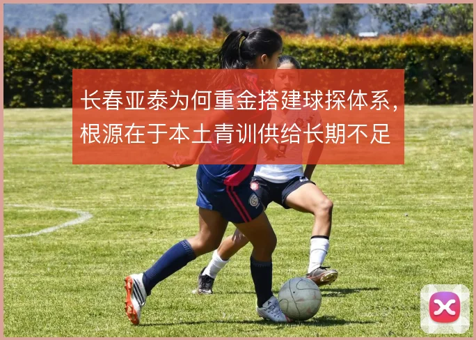 长春亚泰为何重金搭建球探体系，根源在于本土青训供给长期不足